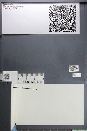 Media type: image;   Entomology 546616